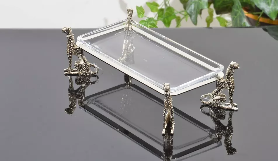 ÇİTA DİKDÖRTGEN CAM SERVİS 30X14 CM GÜMÜŞ